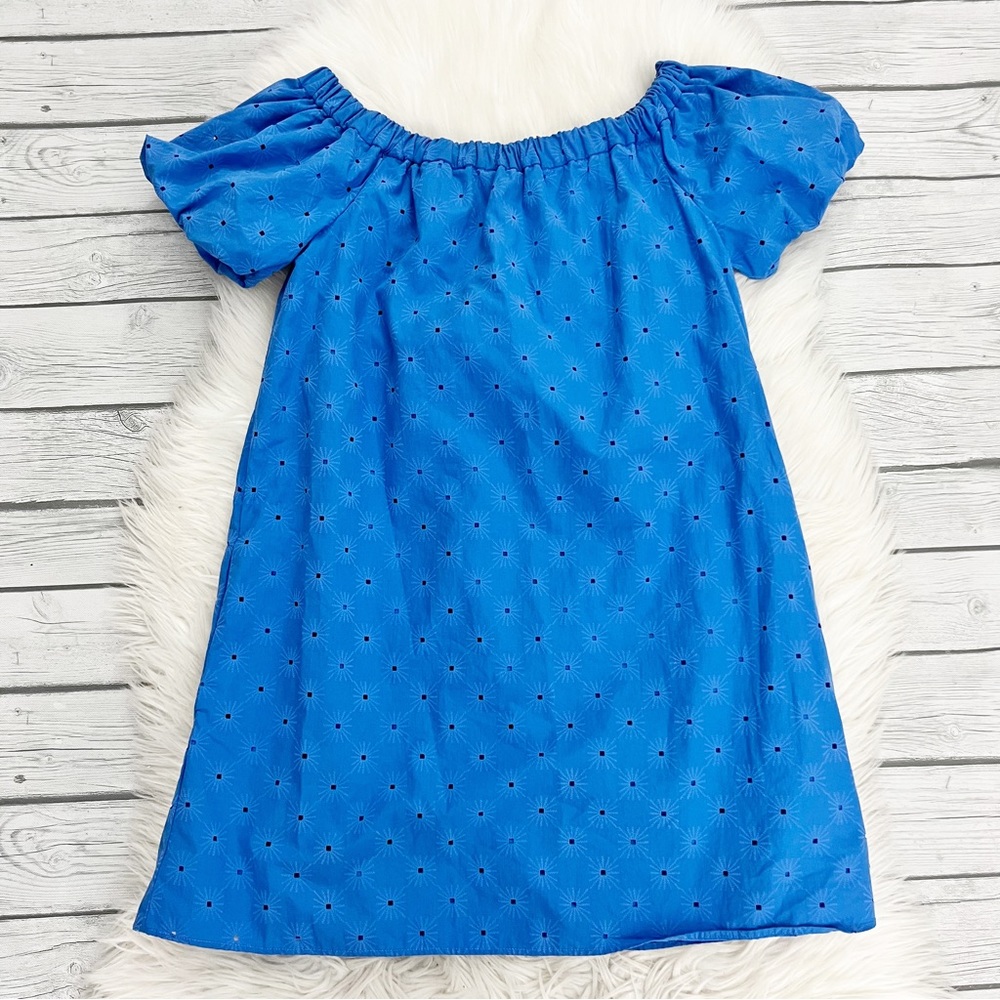Zara Blue Puff Sleeve Dress